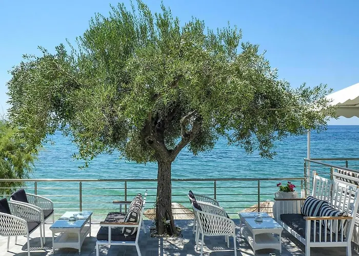 In Elia With A Shared Pool * Kalogria (Sithonia)